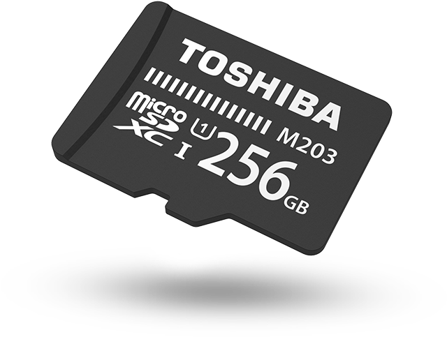 Toshiba256 G B Micro S D Card