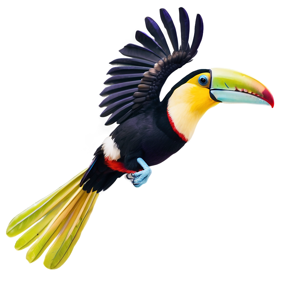 Toucan In Flight Png 06112024