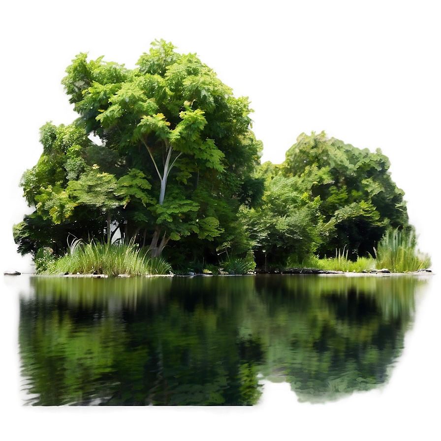 Tranquil Pond Trees Png Lqj