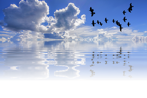 Tranquil_ Sea_and_ Sky_with_ Birds