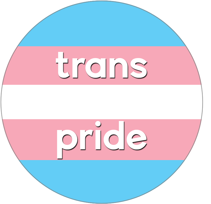 Trans Pride Flag Graphic