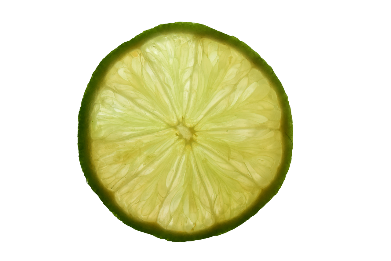 Translucent Lemon Slice Black Background