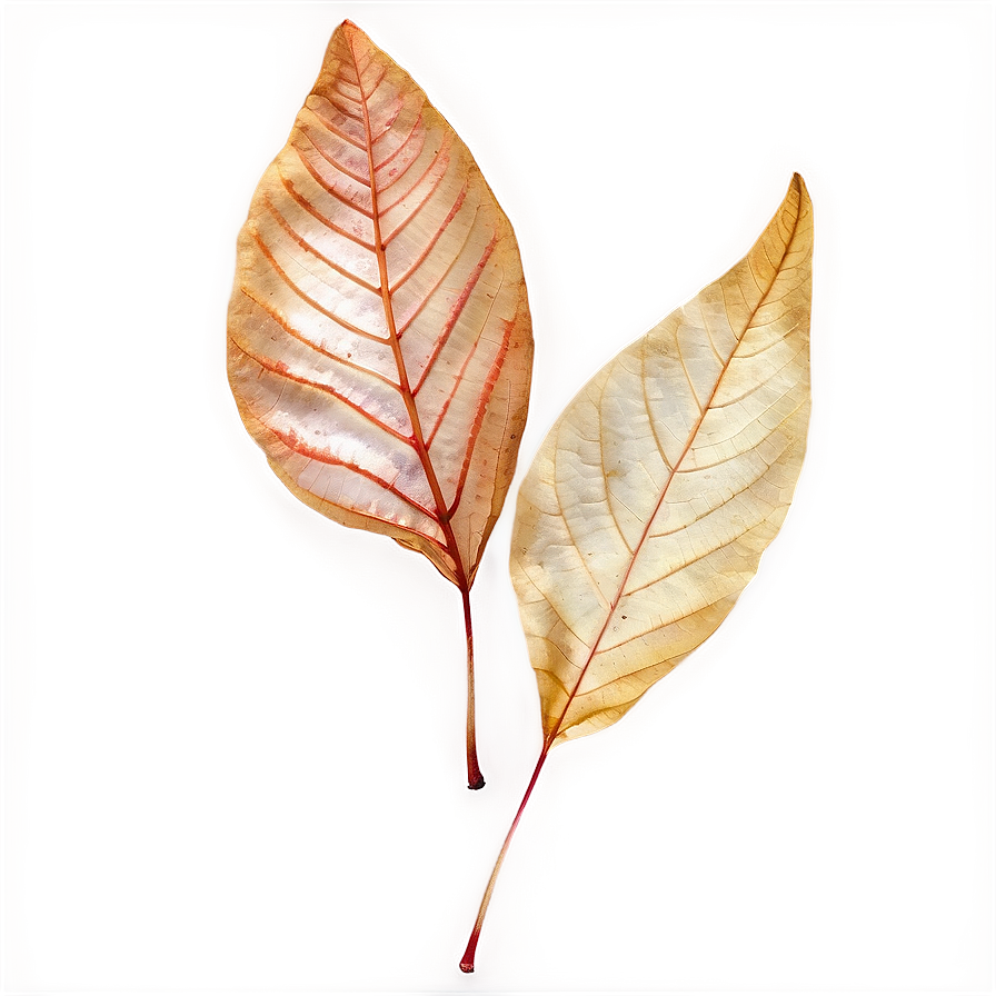 Transparent Autumn Leaf Png 87