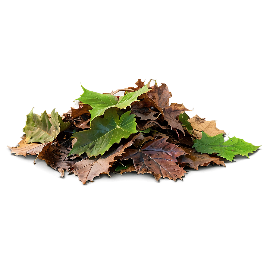 Transparent Background Leaf Pile Png 82