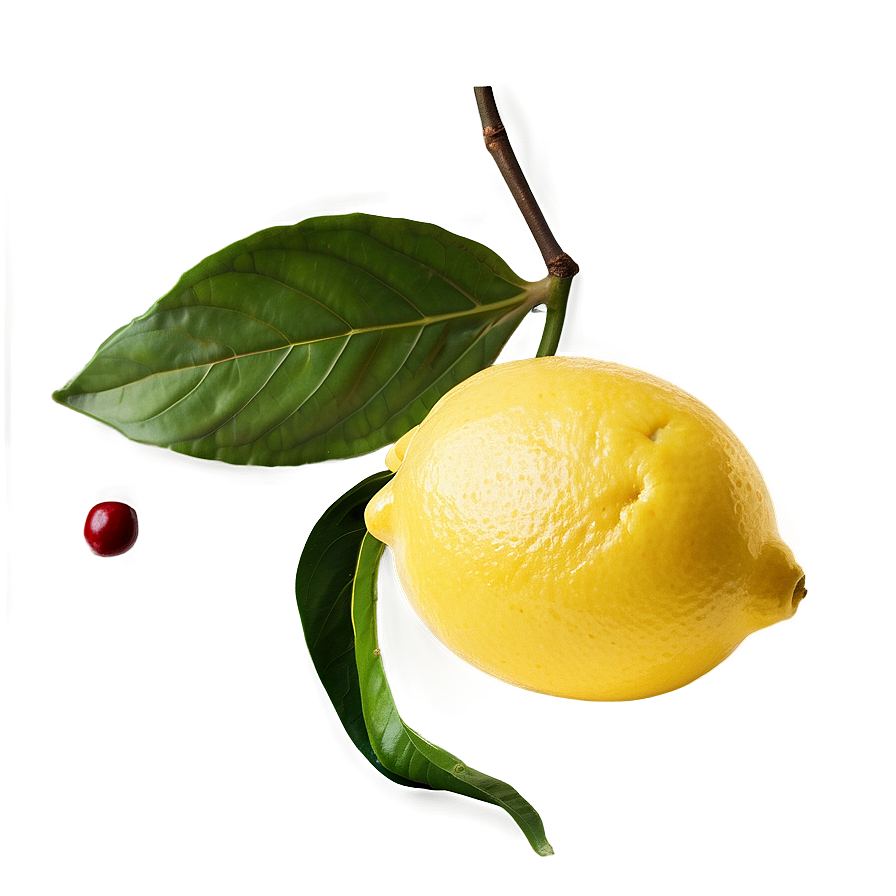 Transparent Background Lemon Png Bea