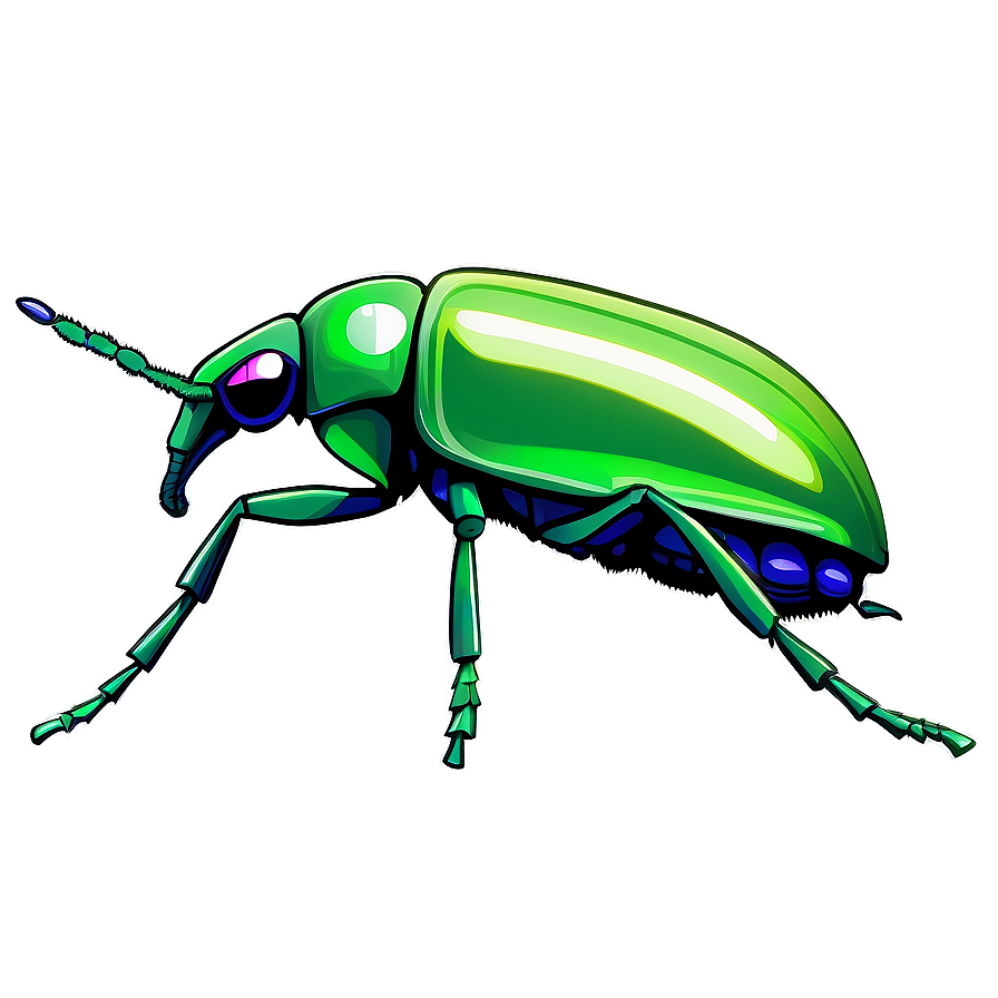 Transparent Background Weevil Png 06292024