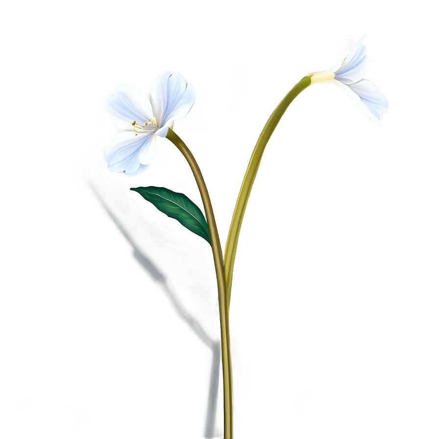 Transparent Flower Stem Png 06132024