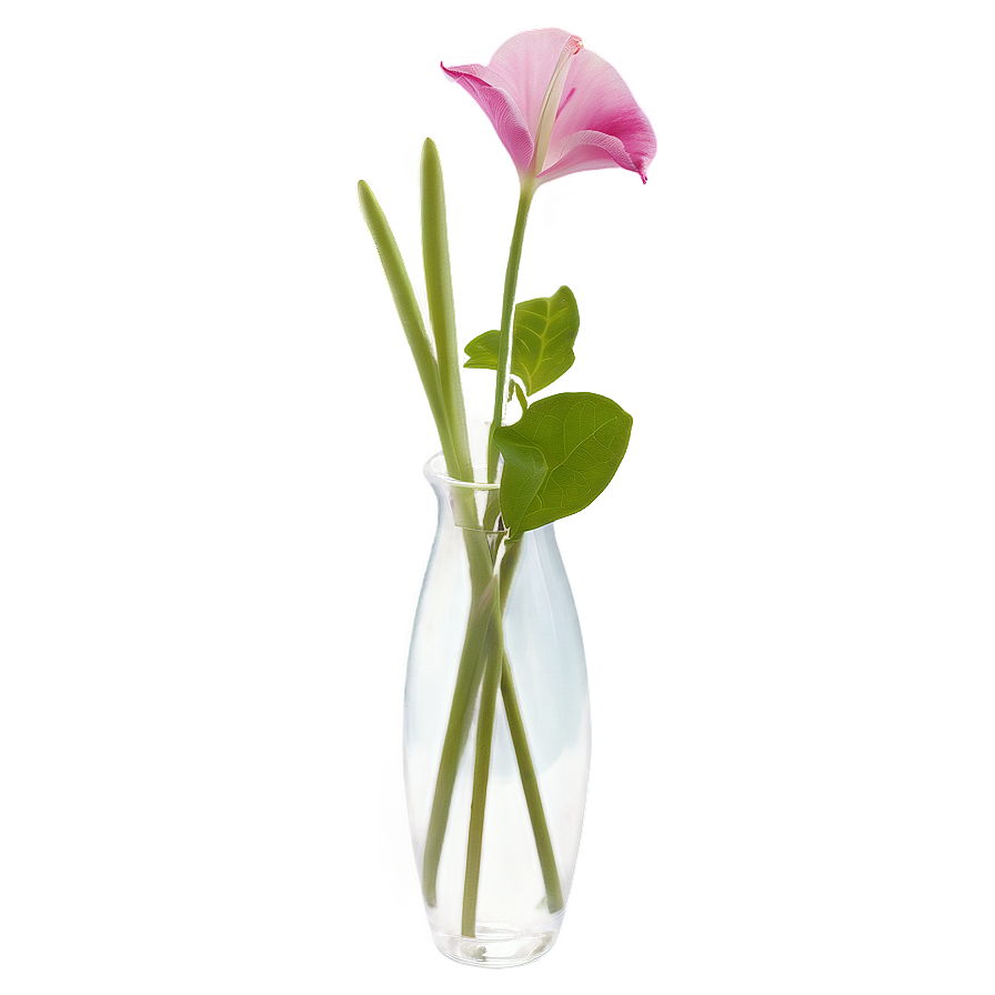 Transparent Flower Vase Png Yuv73