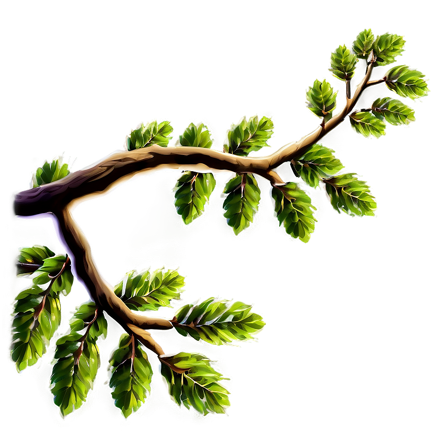 Tree Branch Frame Png Kku42