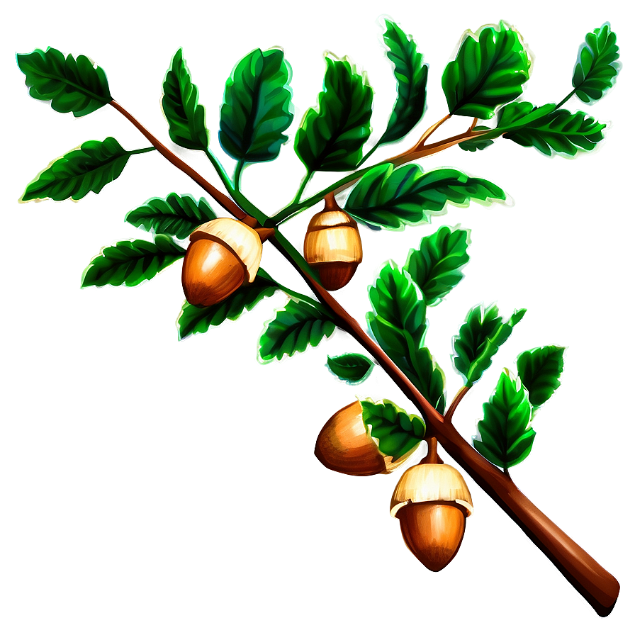 Tree Branch With Acorns Png 05252024