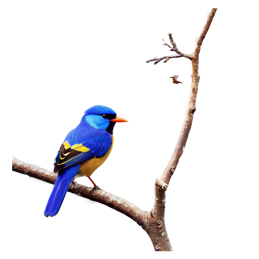 Tree Branch With Birds Png Rvb