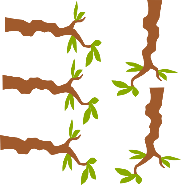 Tree Branches Sprouting Leaves Illustration