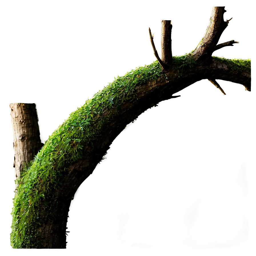 Tree Branches With Moss Png Dns93