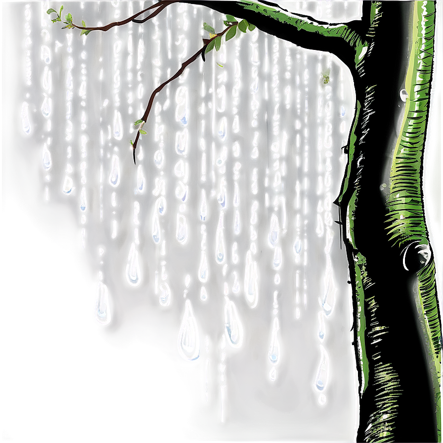 Tree Branches With Raindrops Png 06282024