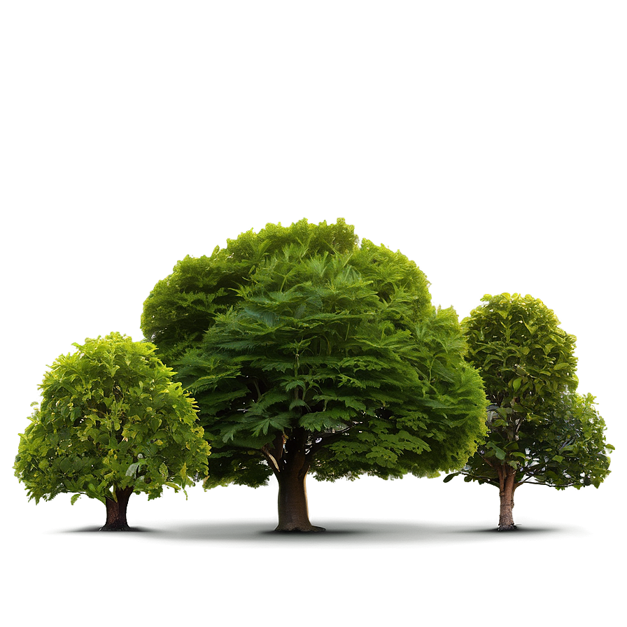 Tree Line Backdrop Png 78