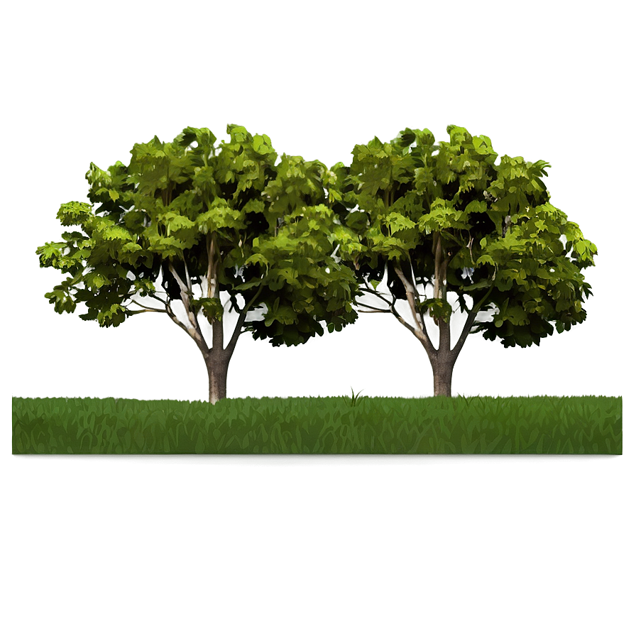 Tree Line Horizon Graphic Png 06292024