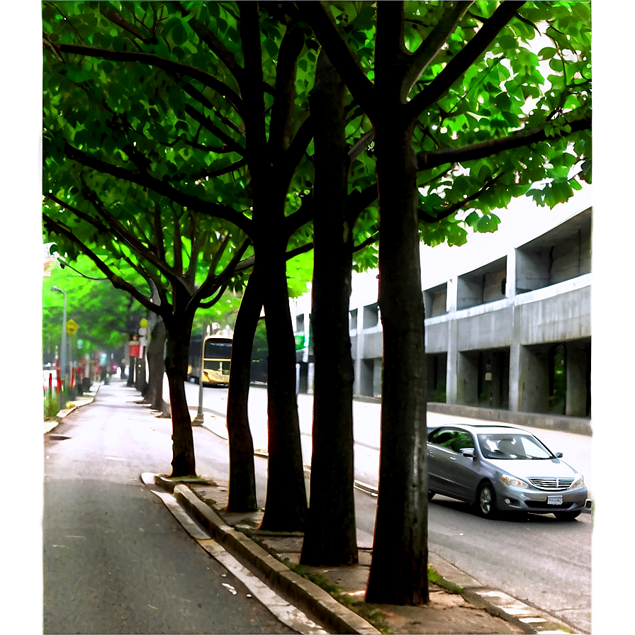 Tree Lined Street Png 3