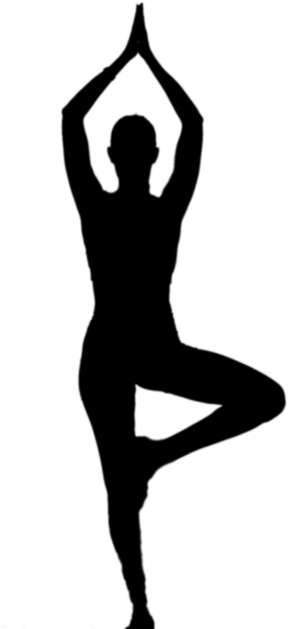 Tree Pose Yoga Silhouette