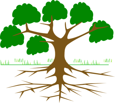 Tree Roots Vector Illustration