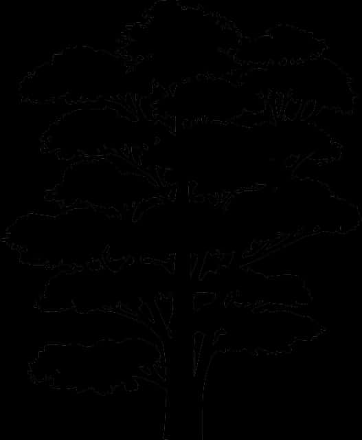 Tree Silhouette Outline.png