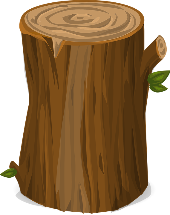 Tree Stump Illustration