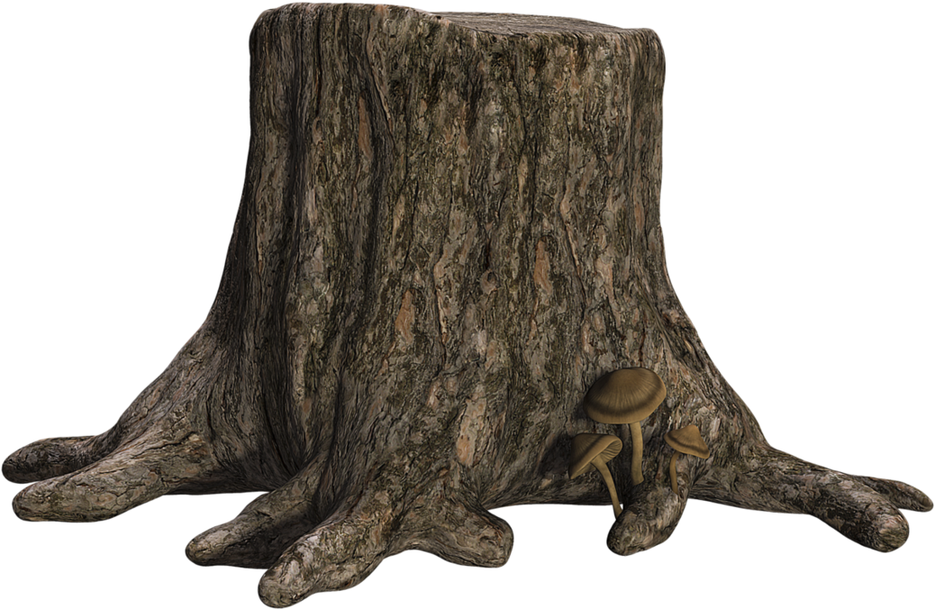 Tree Stumpwith Mushrooms