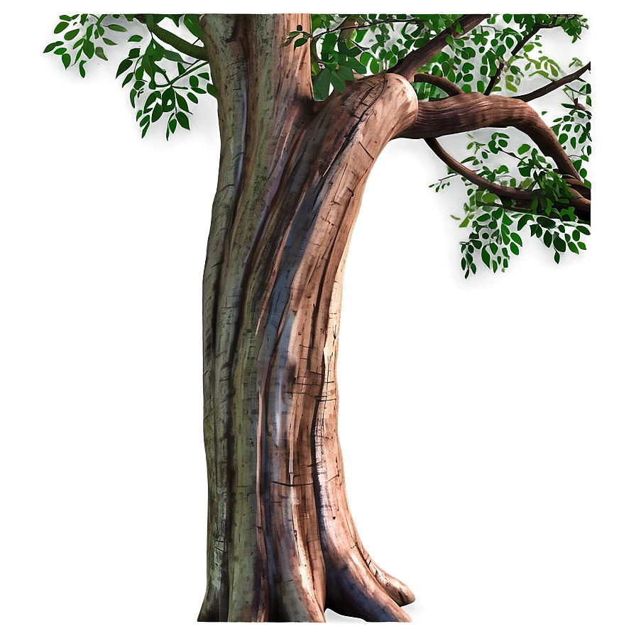 Tree Trunk Detail Png Slj76