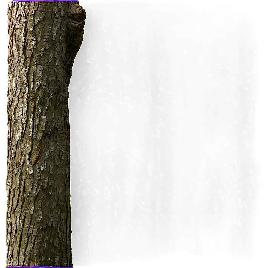 Tree Trunk With Branches Png 26