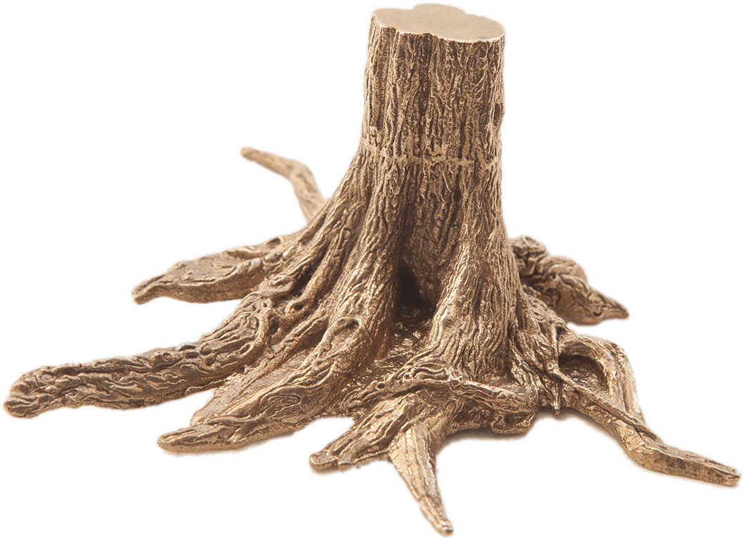 Tree Trunkwith Exposed Roots.png