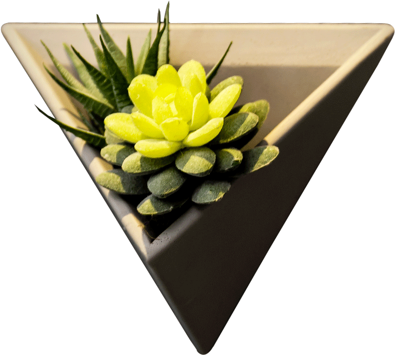 Triangular Planter With Succulent