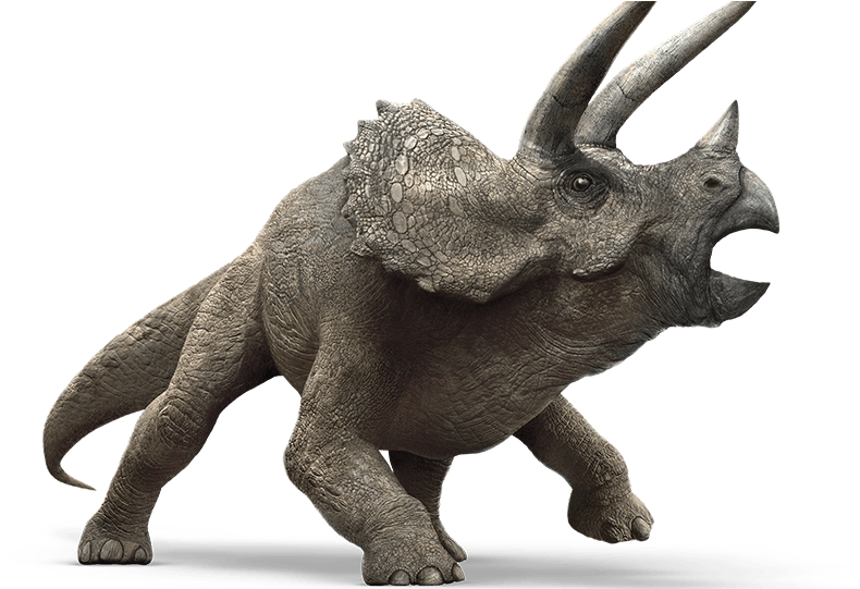 Triceratops Model Jurassic World