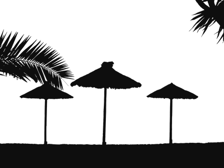 Tropical Beach Night Silhouette