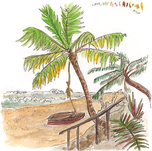 Tropical_ Beach_ Sketch_ Mozambique