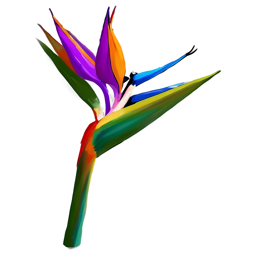 Tropical Bird Of Paradise Design Png Lrt81