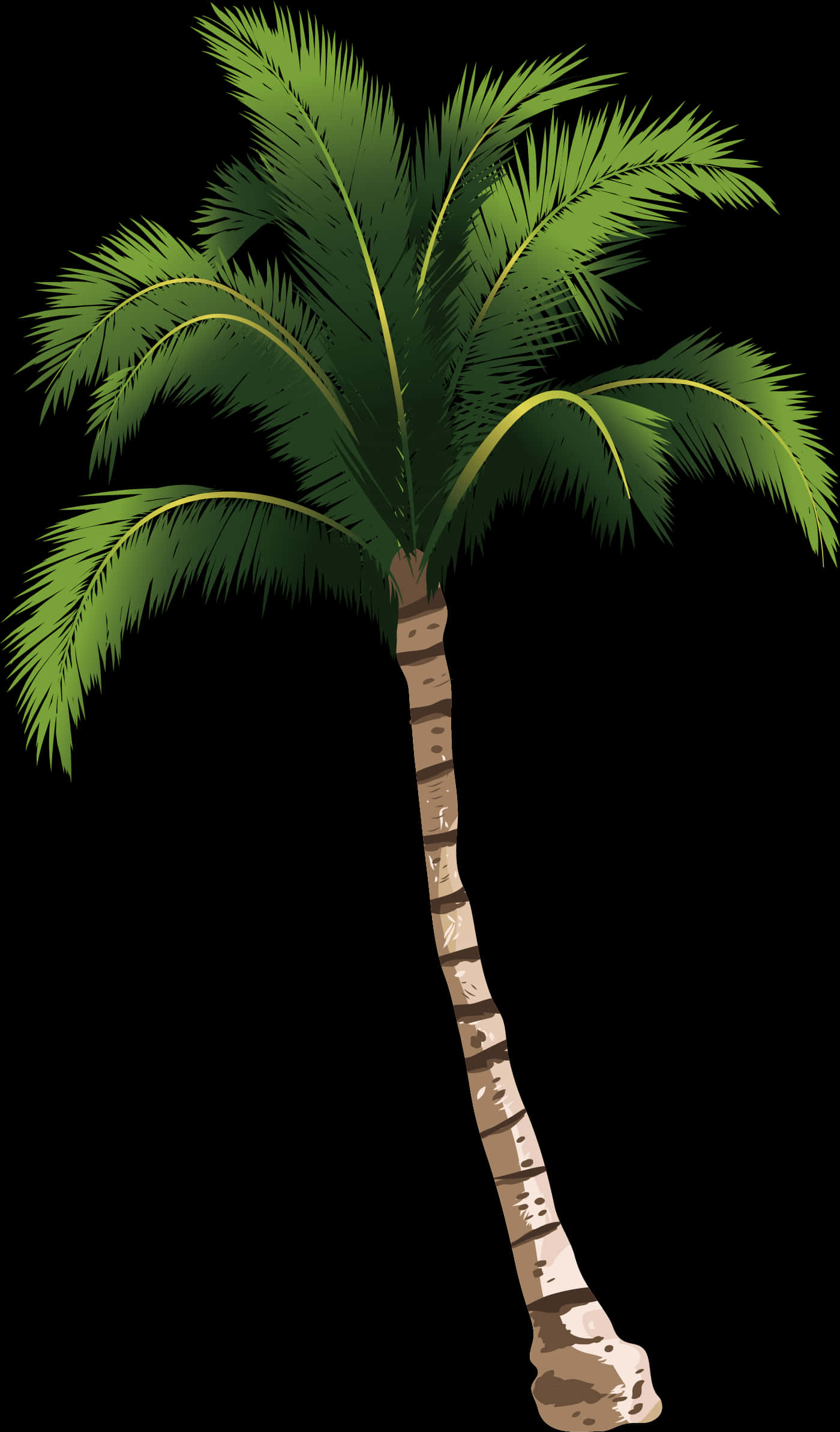 Tropical Coconut Tree Illustration