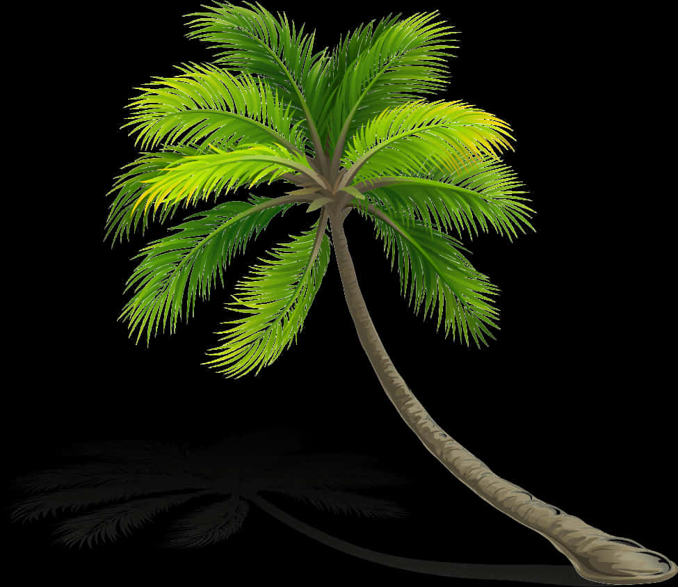 Tropical Coconut Tree Illustration