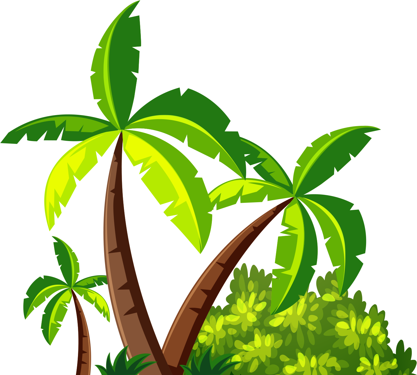 Tropical Coconut Trees Illustration