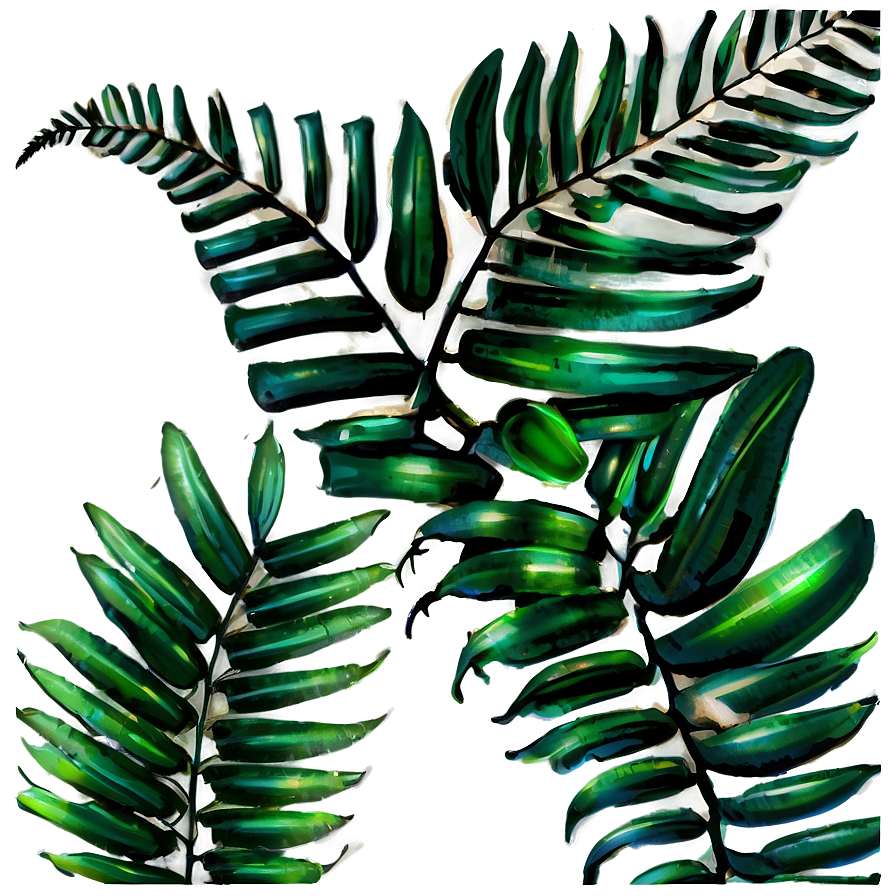 Tropical Ferns Png 51