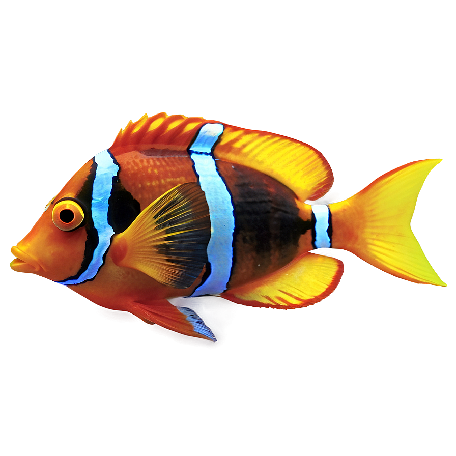 Tropical Fish Png 05232024