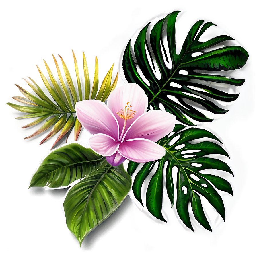 Tropical Flower Frame Png 43