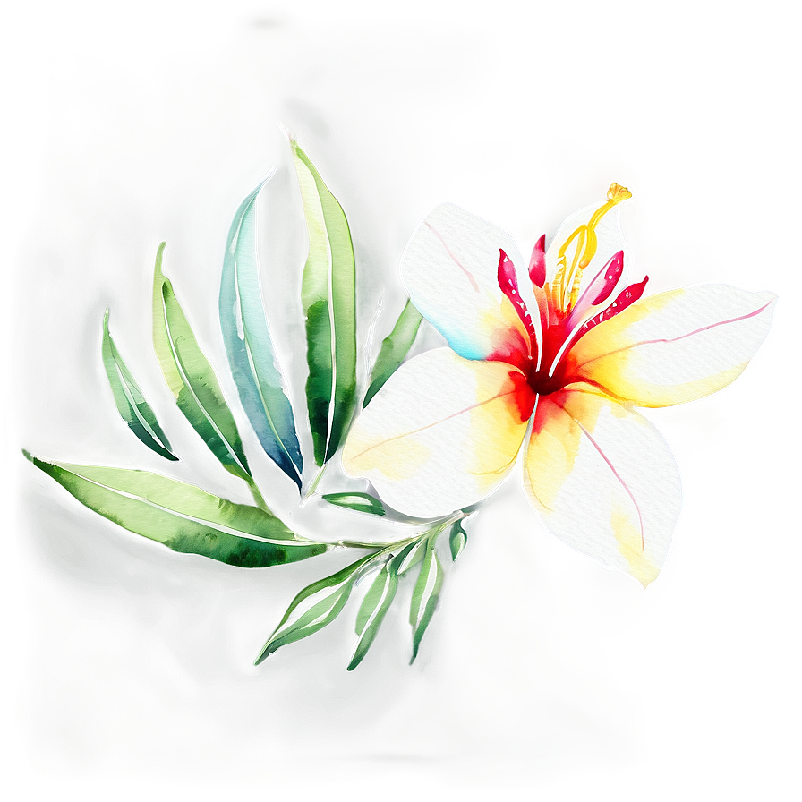 Tropical Flower Watercolor Png Yls