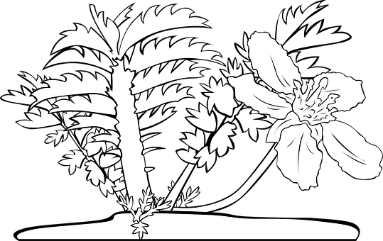 Tropical Flowerand Palm Silhouette