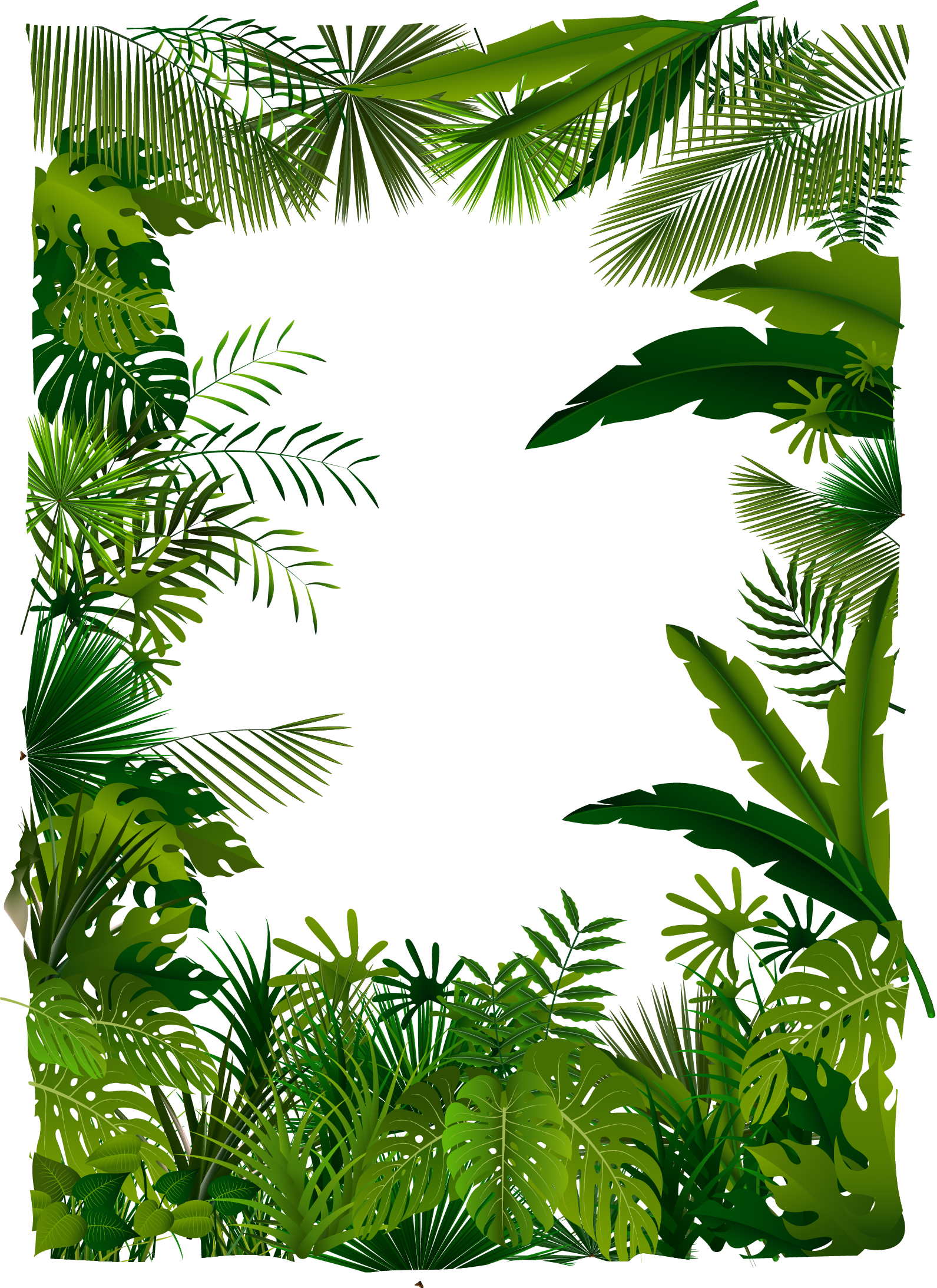 Tropical Foliage Frame Design