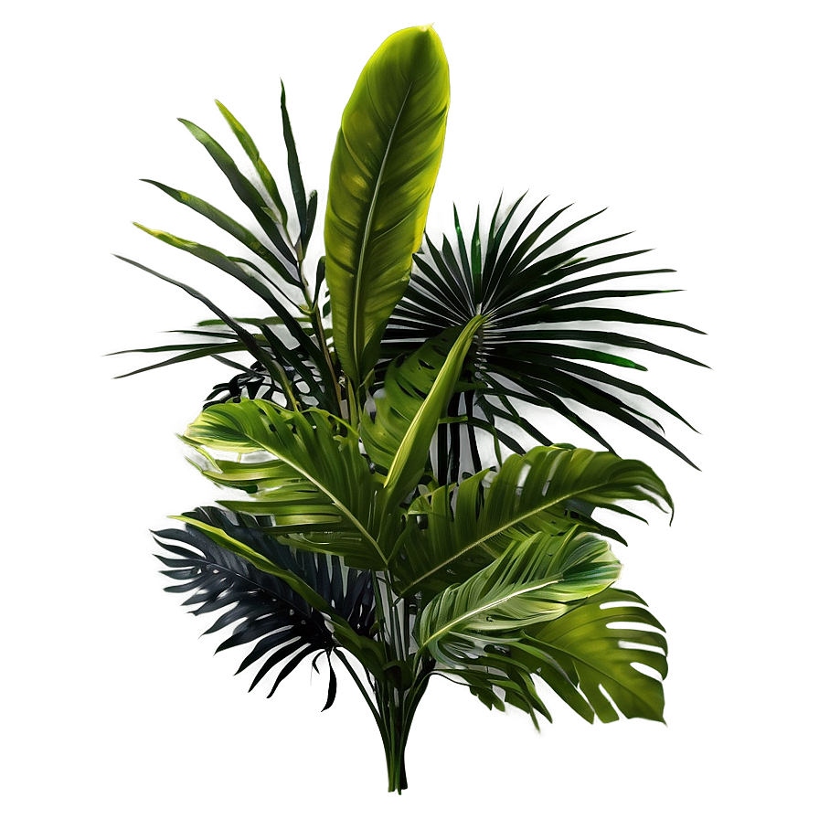 Tropical Foliage Png 06252024