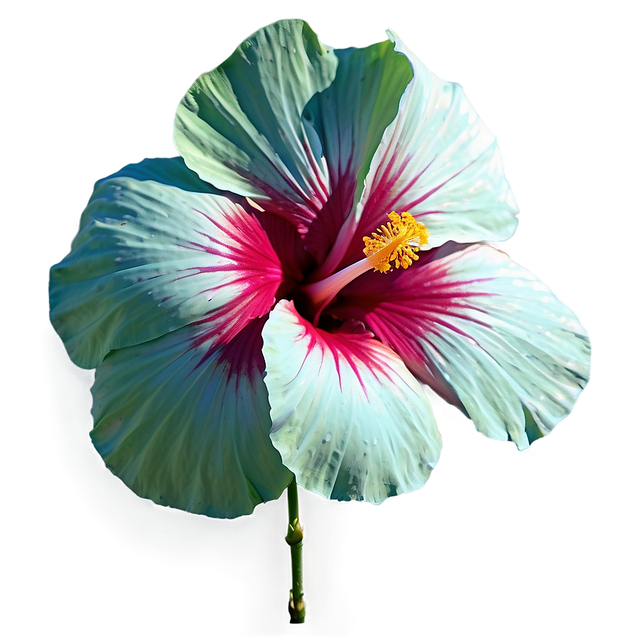 Tropical Hibiscus Png 05232024