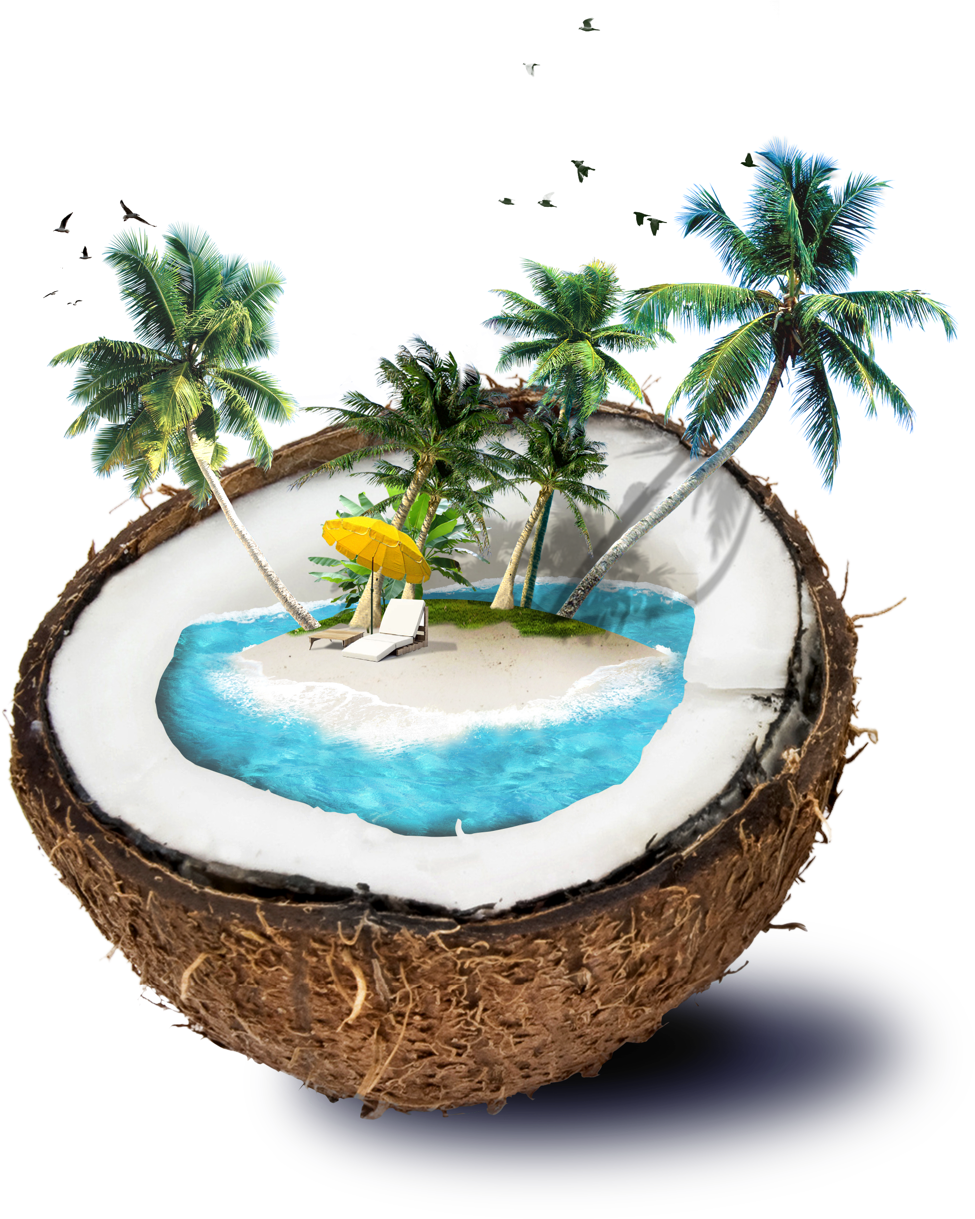 Tropical Island Coconut Fantasy