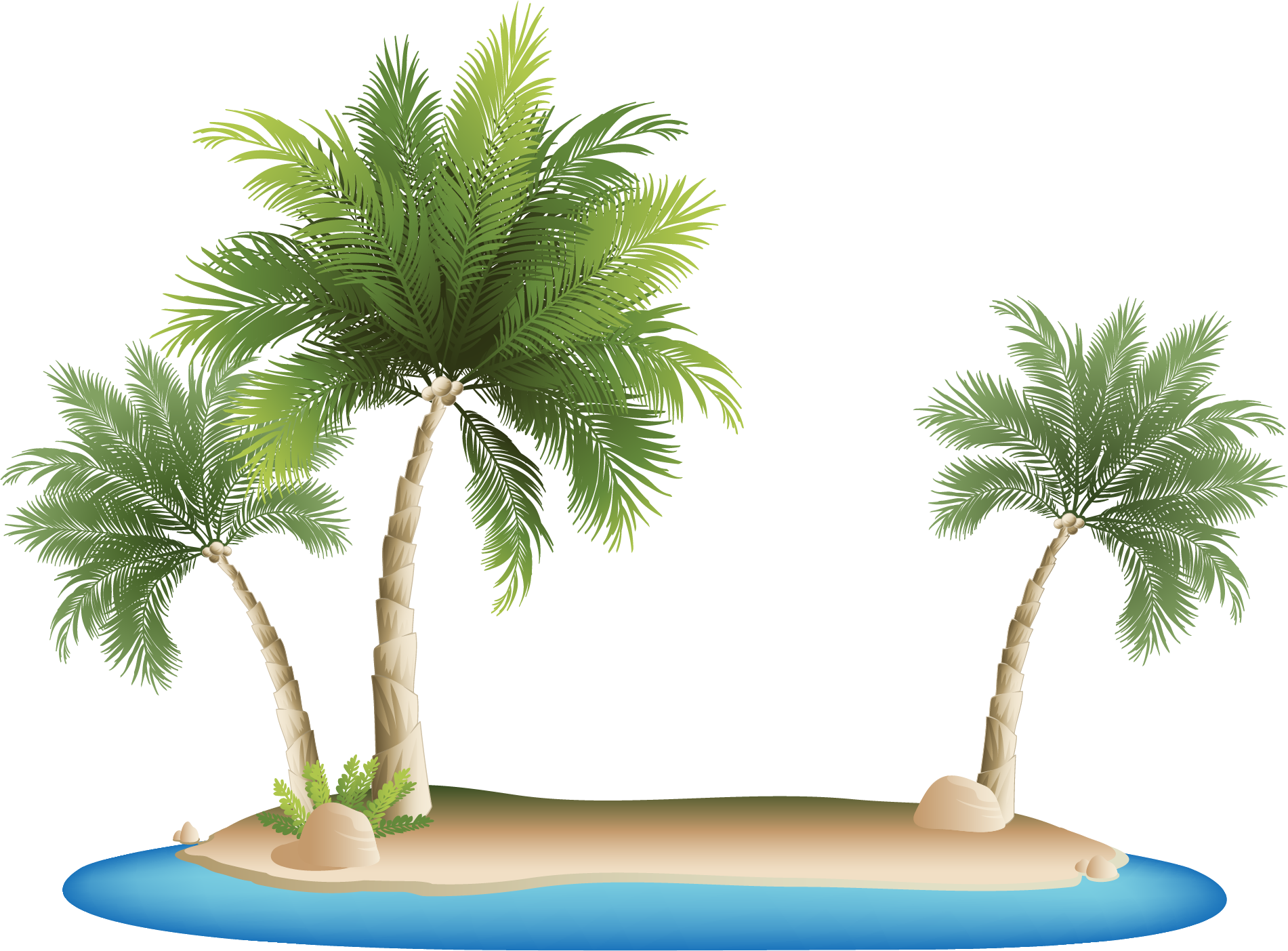 Tropical Island Palm Trees