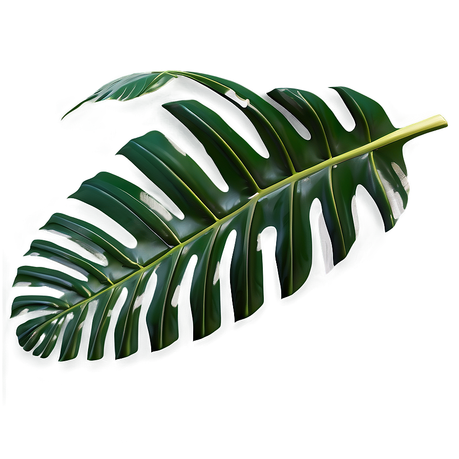 Tropical Leaf Accent Png 06122024