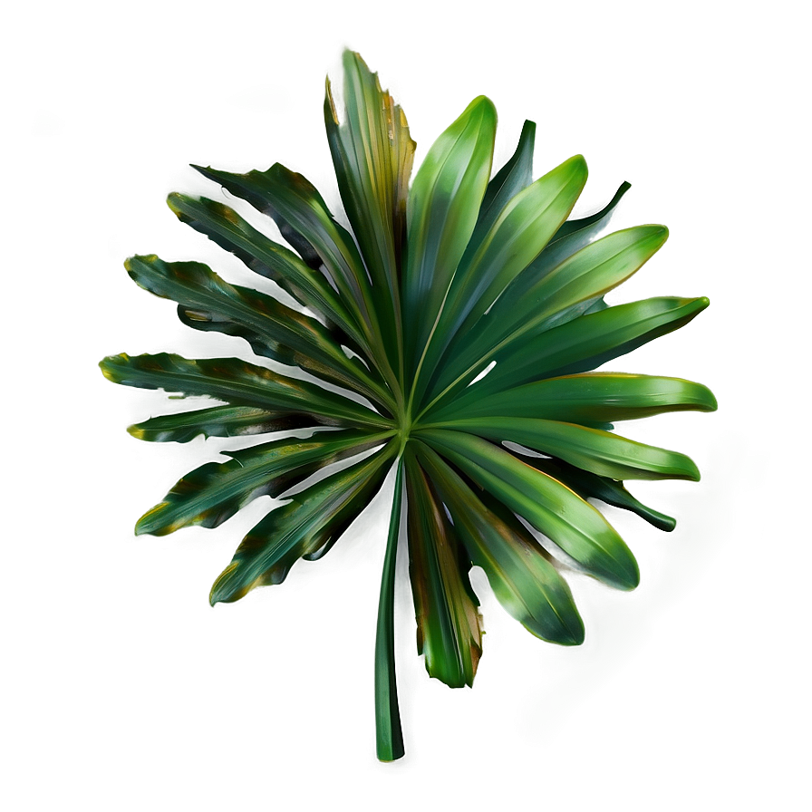 Tropical Leaf Arrangement Png 06122024