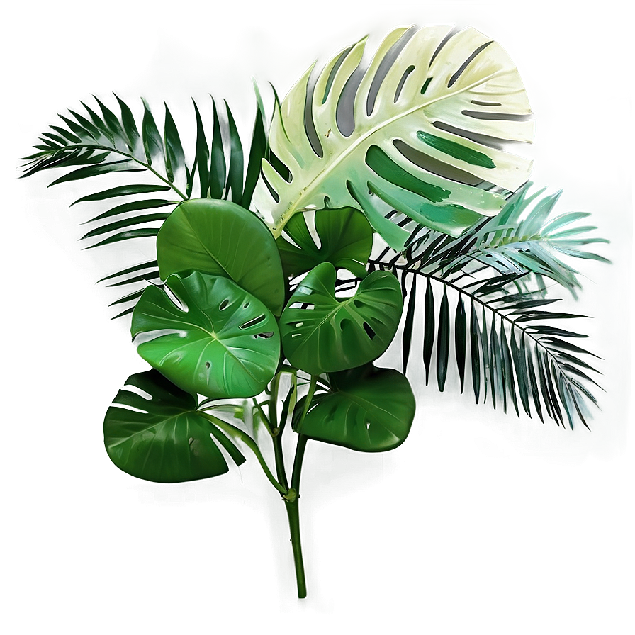 Tropical Leaf Arrangement Png Ivo80